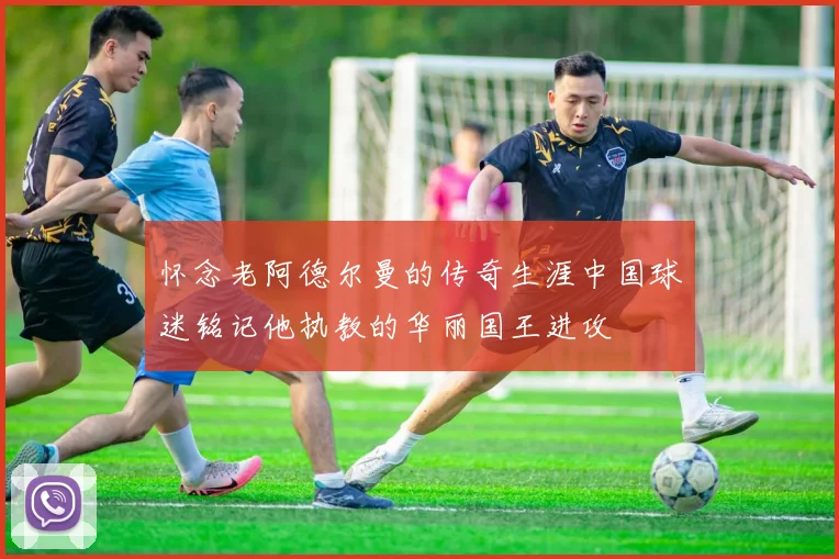 怀念老阿德尔曼的传奇生涯中国球迷铭记他执教的华丽国王进攻
